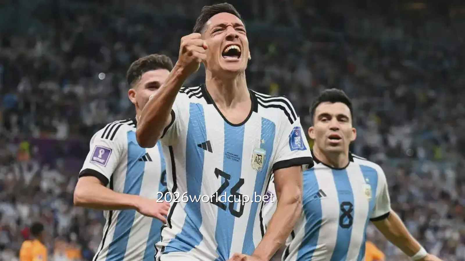 怎么看2026世界杯赔率？怎么根据赔率买球？