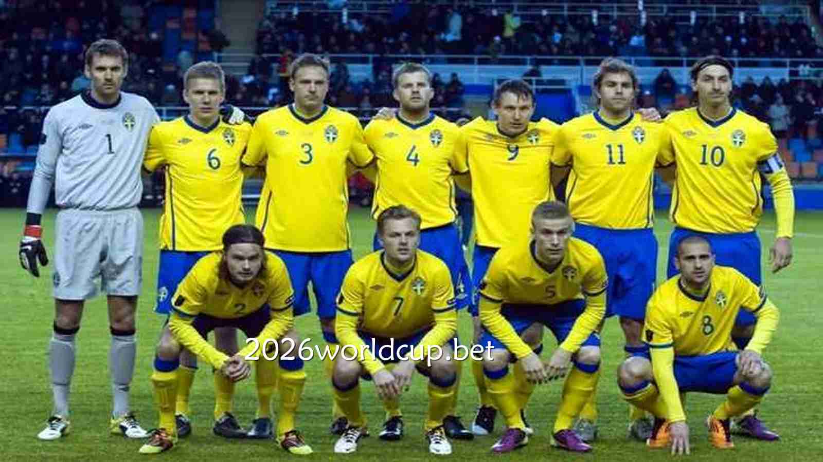 瑞典国家队人才济济｜世界杯买球