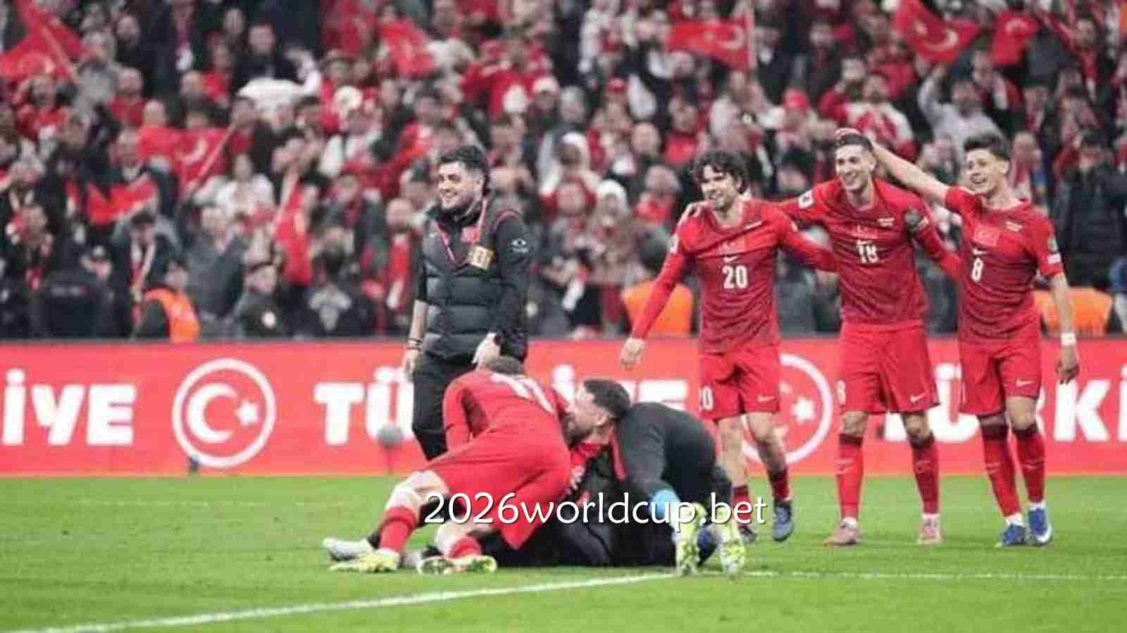 土耳其队成员在赛场厮杀｜世界杯买球