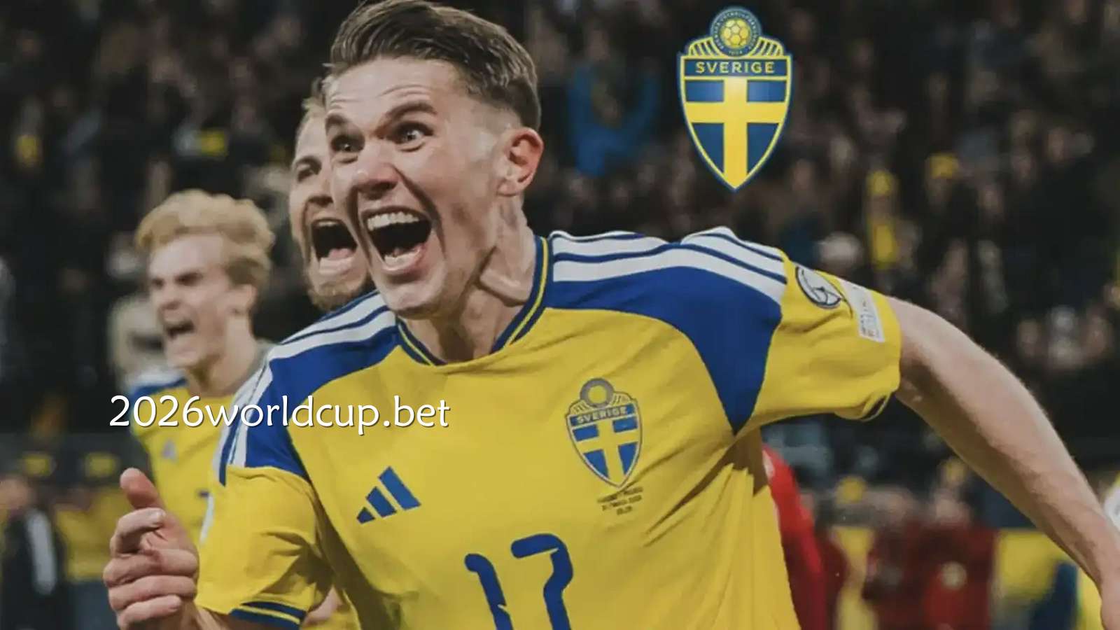 瑞典国家队是支怎样的队伍？已正式进入2026世界杯正赛席｜世界杯投注网站