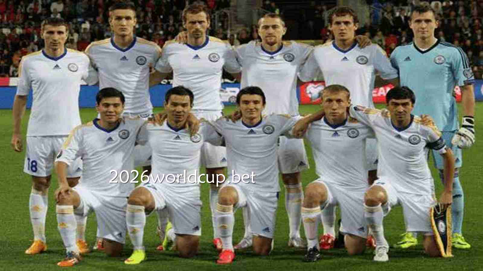 波黑队进入2026世界杯正赛｜2026世界杯